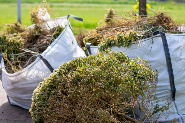 Trusted Elm Creek, TX Junk Removal Experts